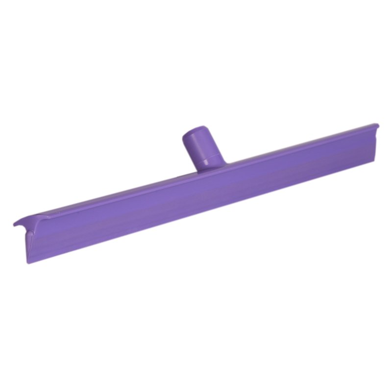 purple squeegee Klipspringer