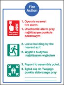 Fire action auto dial without lift (English/polish)