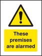 These premises are alarmed - 75x100mm window sticker