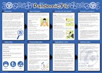 Pandemic Flu Poster 594x420mm