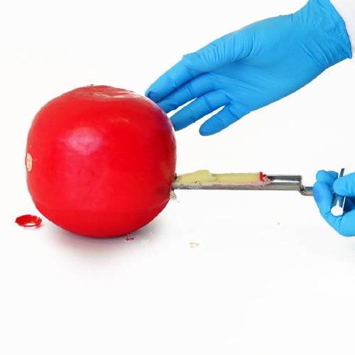 Mini Corer, SS, Length 190mm Blade Diameter 18mm